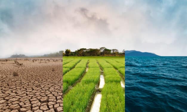 Invesco: Investice do klimatu – je třeba zmírňování a přizpůsobování?